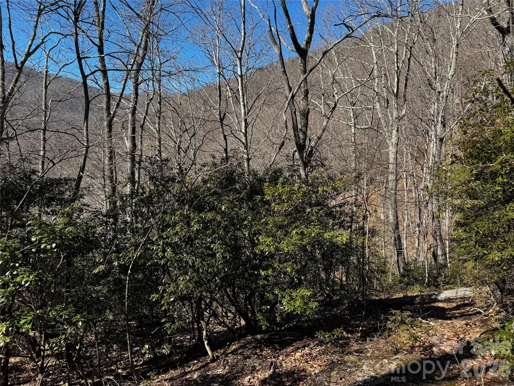 TBD Acacia Court #936 Black Mountain, NC 28711