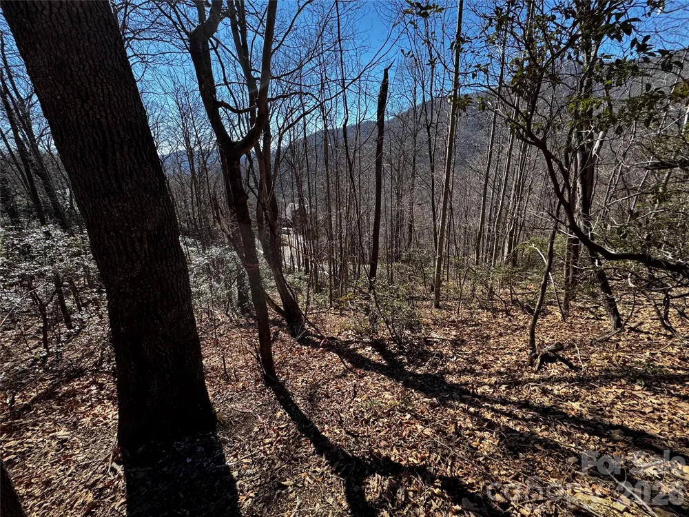 TBD Acacia Court #936 Black Mountain, NC 28711