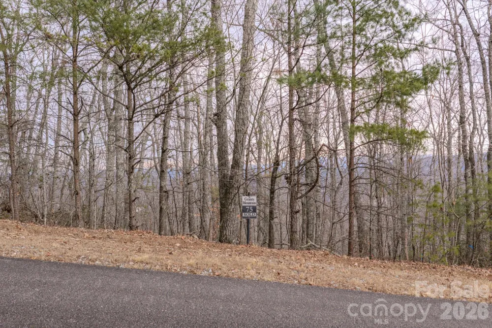2724 Mountain Crest Drive S #75 Marion, NC 28752
