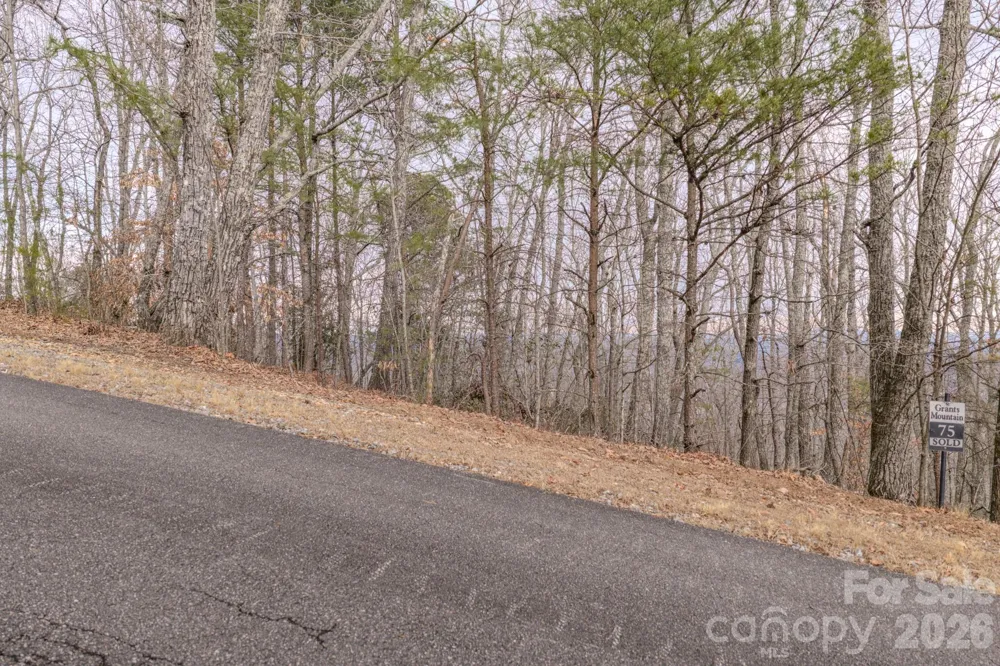 2724 Mountain Crest Drive S #75 Marion, NC 28752
