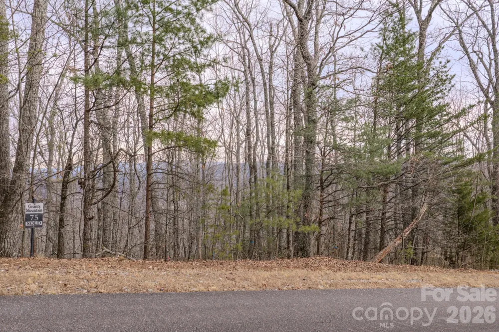2724 Mountain Crest Drive S #75 Marion, NC 28752