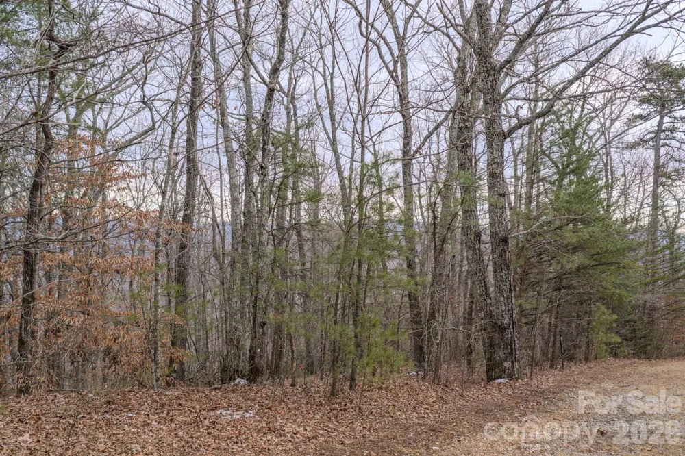 2724 Mountain Crest Drive S #75 Marion, NC 28752