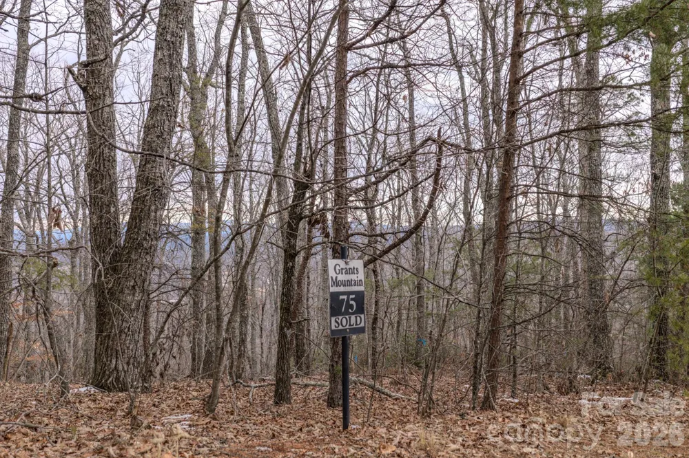 2724 Mountain Crest Drive S #75 Marion, NC 28752