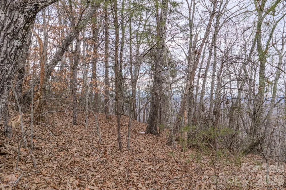 2724 Mountain Crest Drive S #75 Marion, NC 28752