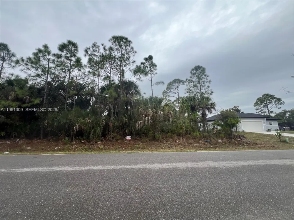 Cloras St North Port, FL 34287