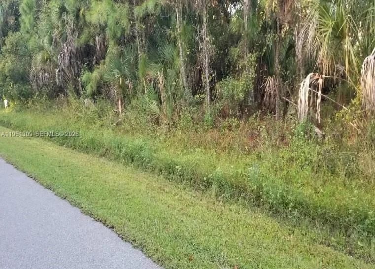 Cloras St North Port, FL 34287