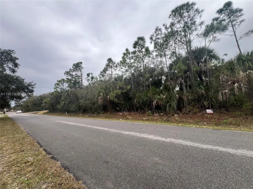 Cloras St North Port, FL 34287