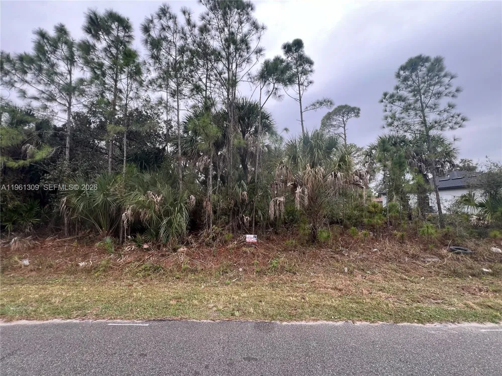 Cloras St North Port, FL 34287