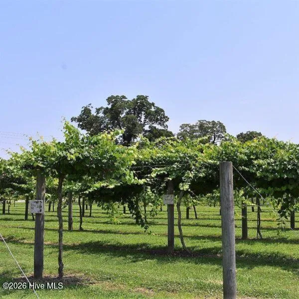 441 Driftwood Drive #Lot 36 Richlands, NC 28574