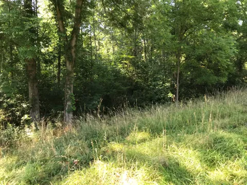 37111 Paw Paw Road