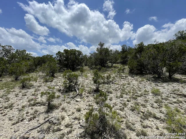 218 Pr 1748 Mico, TX 78056