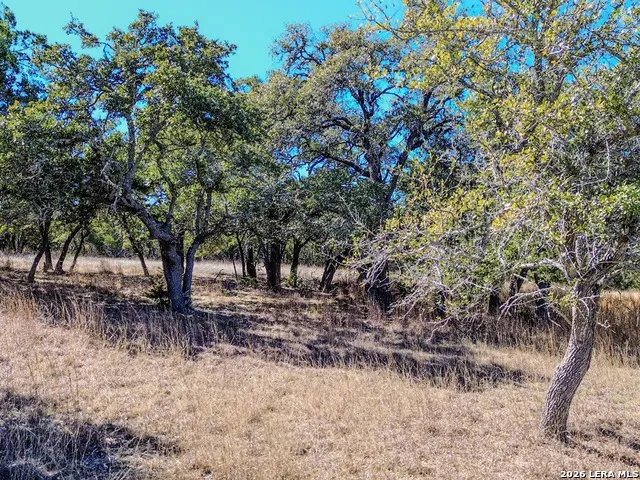 000 Ranch Rd 473 Blanco, TX 78606