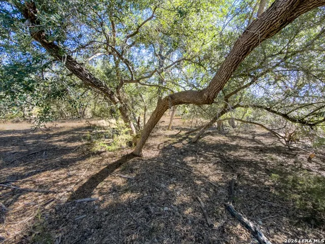 000 Ranch Rd 473 Blanco, TX 78606