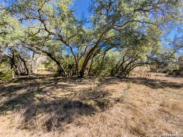 000 Ranch Rd 473 Blanco, TX 78606