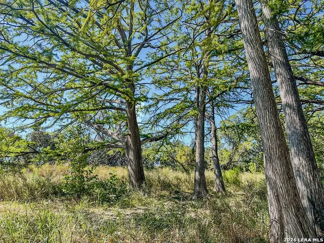 000 Ranch Rd 473 Blanco, TX 78606