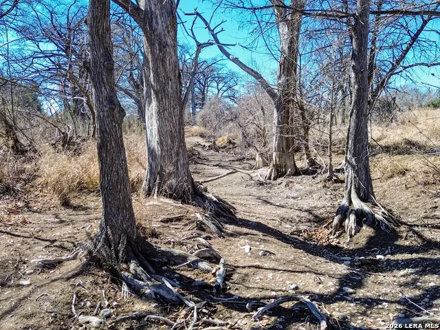 000 Ranch Rd 473 Blanco, TX 78606