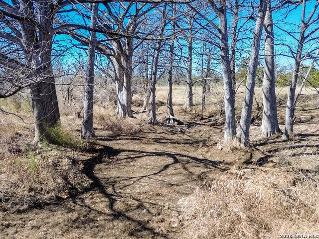 000 Ranch Rd 473 Blanco, TX 78606