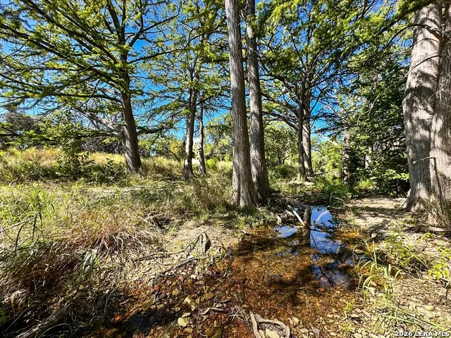 000 Ranch Rd 473 Blanco, TX 78606