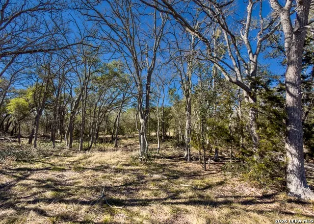 000 Ranch Rd 473 Blanco, TX 78606