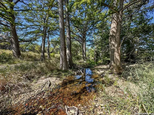 000 Ranch Rd 473 Blanco, TX 78606