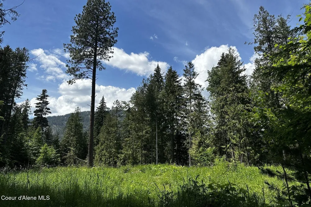 NKA Jenny Lane Sandpoint, ID 83864