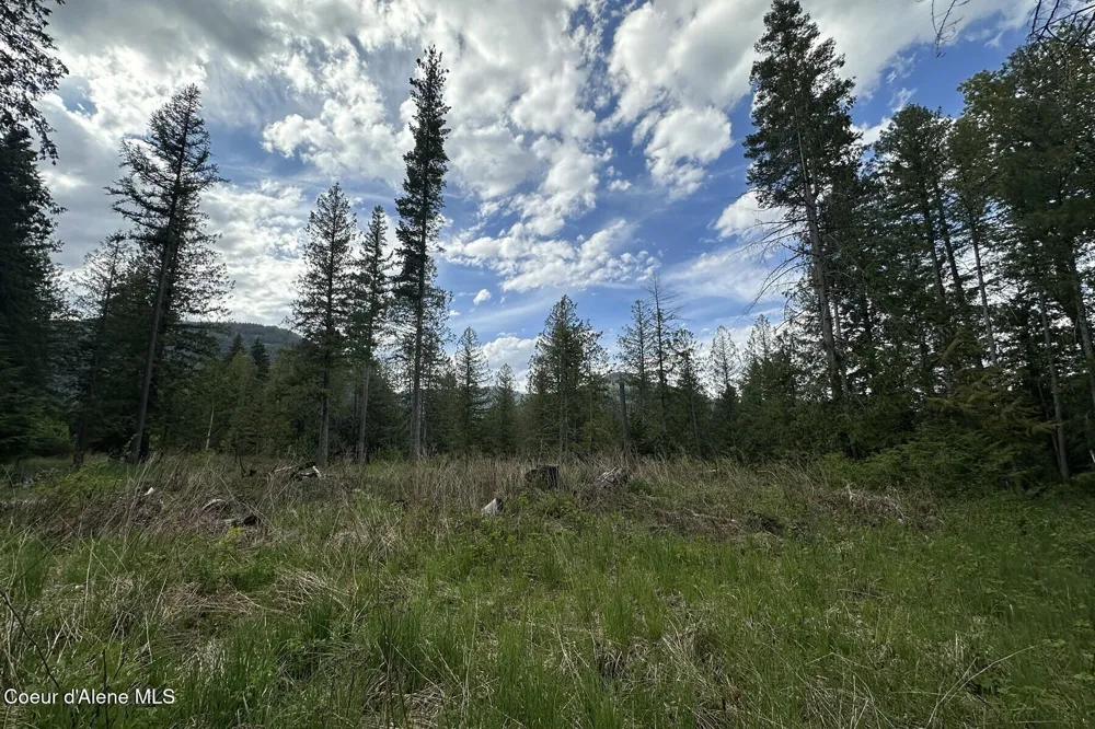 NKA Jenny Lane Sandpoint, ID 83864