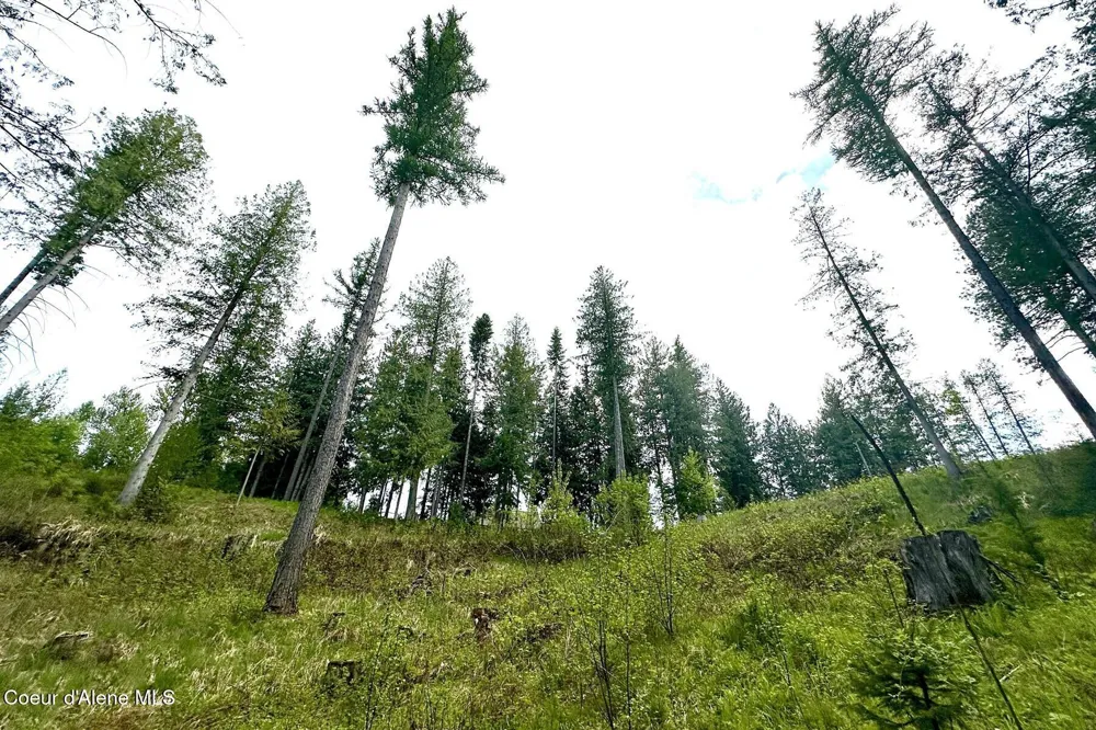 NKA Jenny Lane Sandpoint, ID 83864