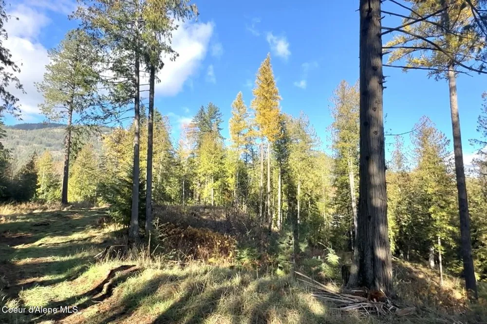 NKA Jenny Lane Sandpoint, ID 83864