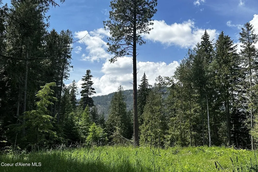 NKA Jenny Lane Sandpoint, ID 83864