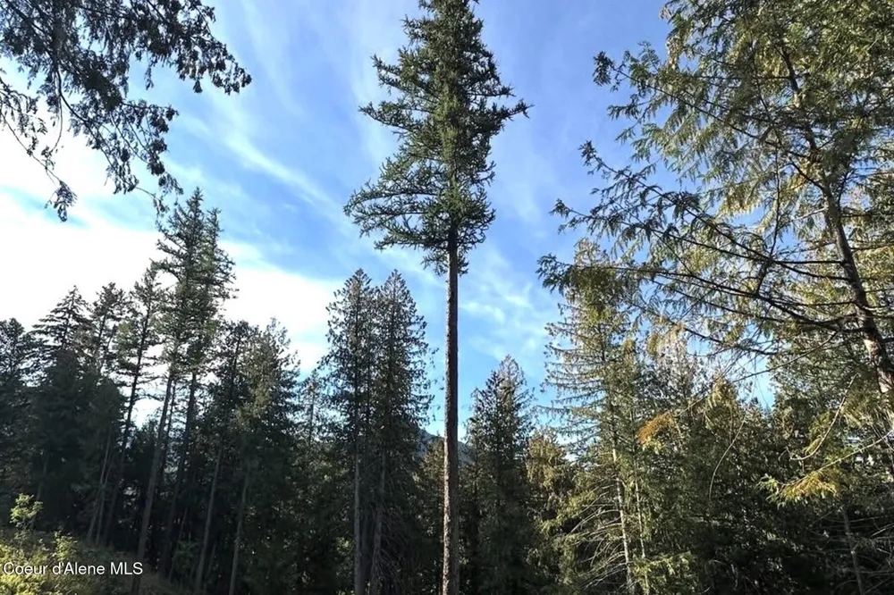 NKA Jenny Lane Sandpoint, ID 83864