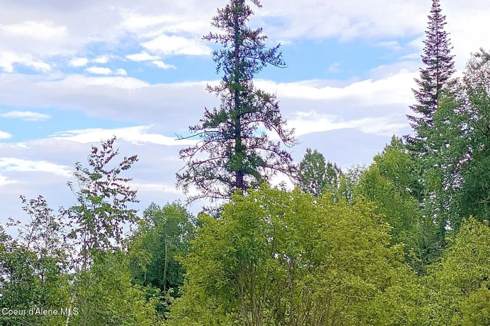 NKA Jenny Lane Sandpoint, ID 83864