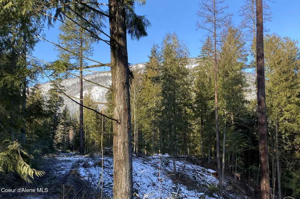 NKA Jenny Lane Sandpoint, ID 83864