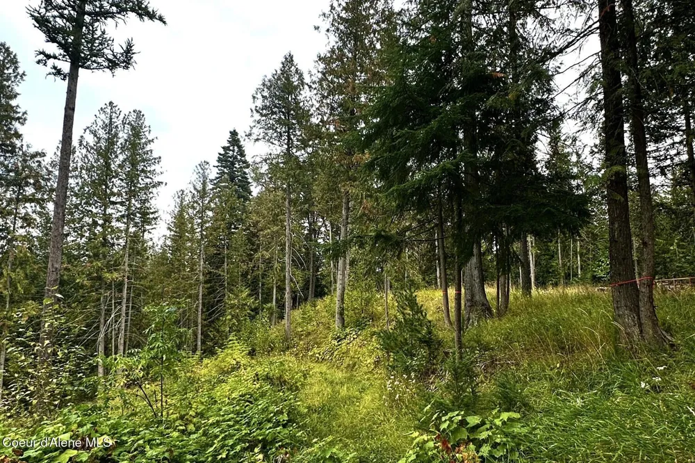 NKA Jenny Lane Sandpoint, ID 83864