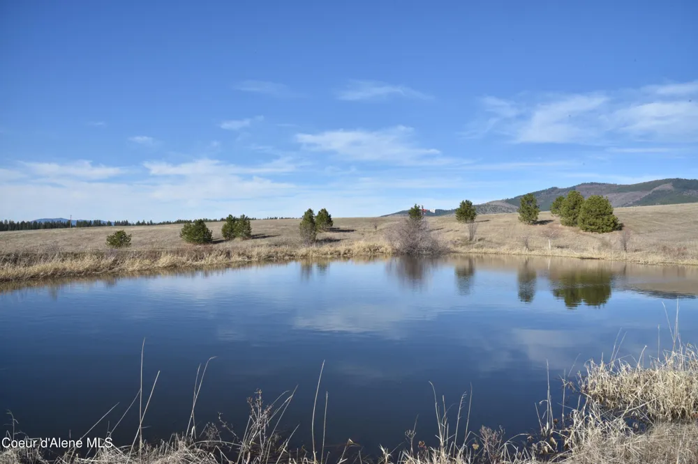 NNA Moses Mountain Lane Tensed, ID 83870
