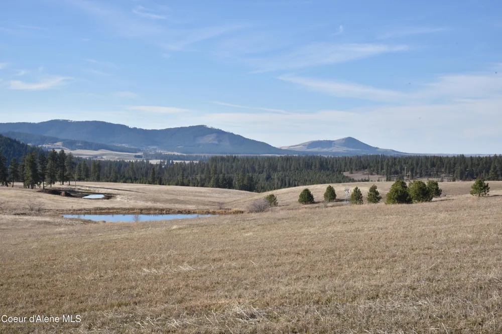 NNA Moses Mountain Lane Tensed, ID 83870