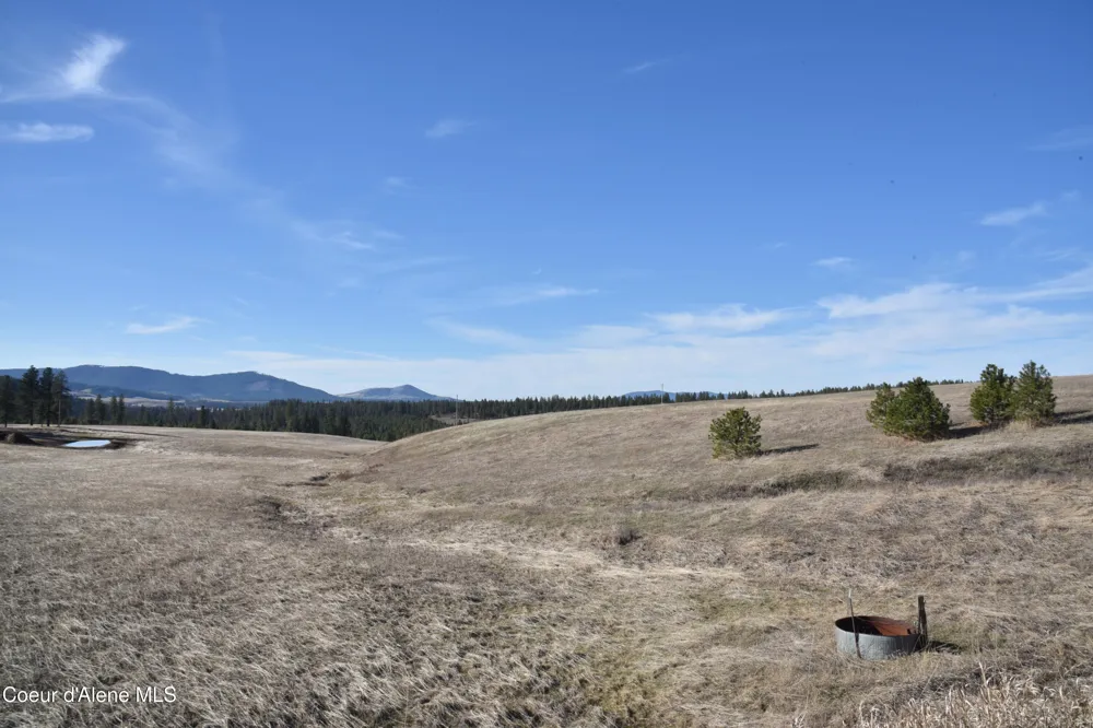 NNA Moses Mountain Lane Tensed, ID 83870