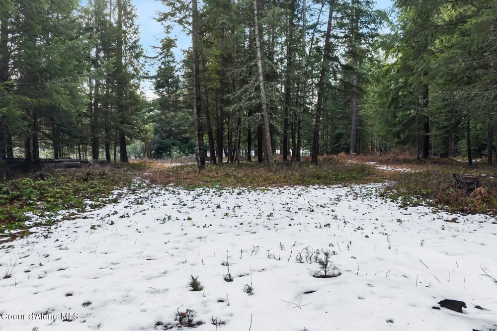 842 Samuels Road Sandpoint, ID 83864