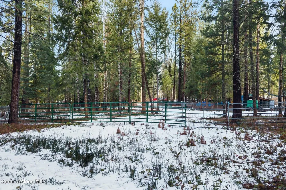 842 Samuels Road Sandpoint, ID 83864