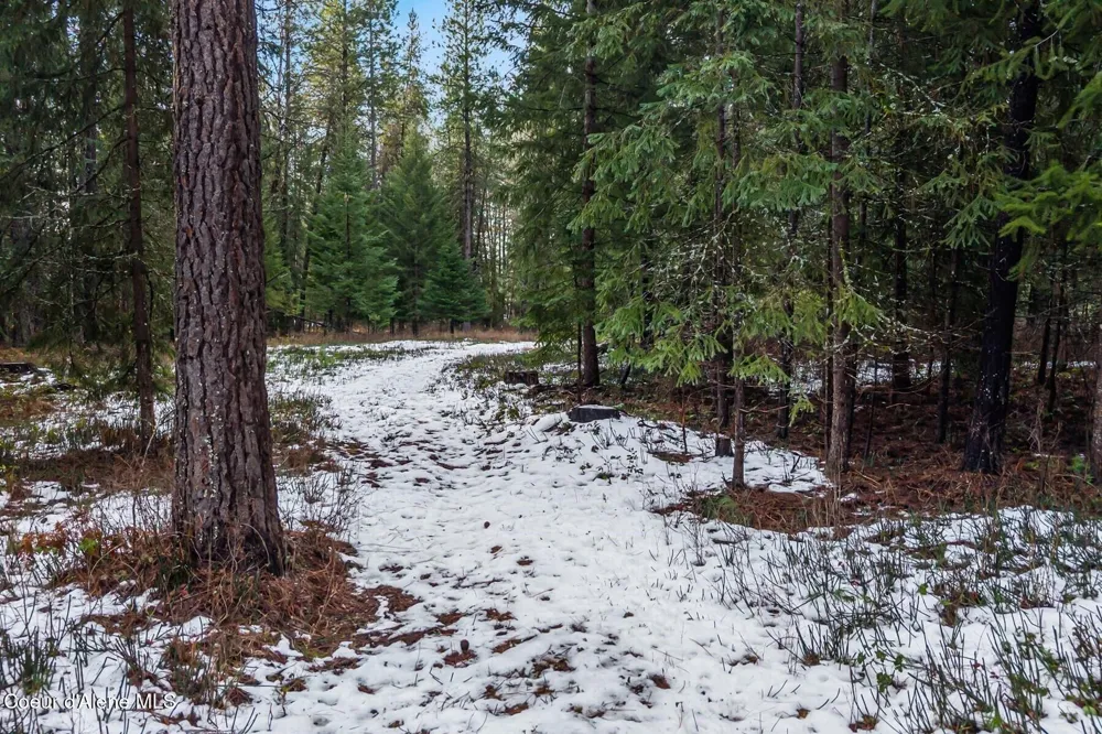 842 Samuels Road Sandpoint, ID 83864