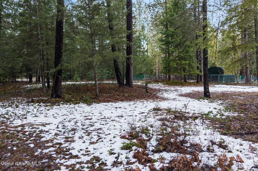 842 Samuels Road Sandpoint, ID 83864