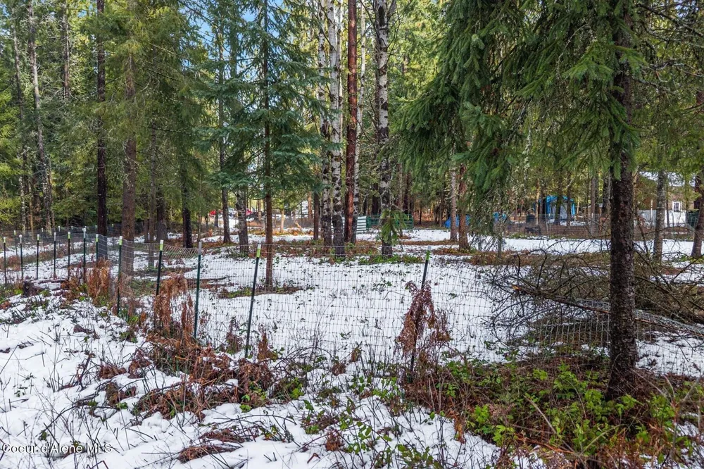 842 Samuels Road Sandpoint, ID 83864