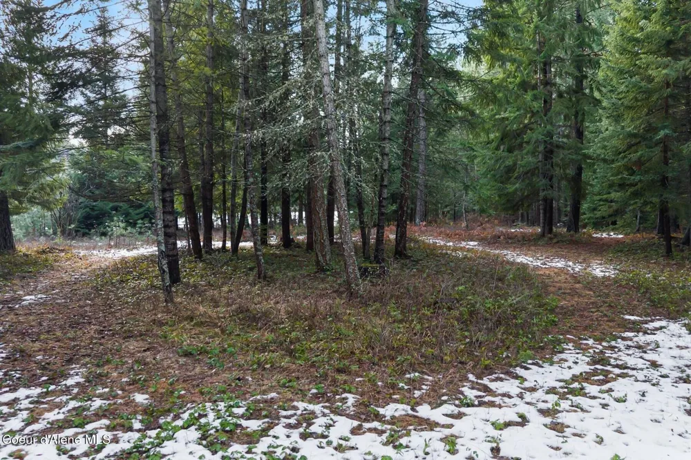 842 Samuels Road Sandpoint, ID 83864