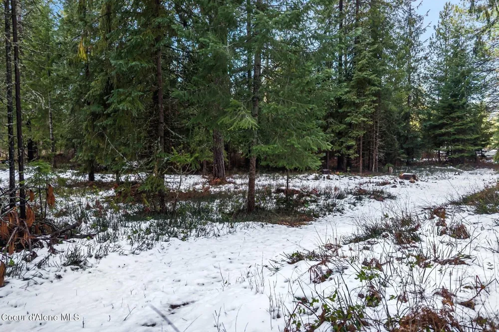 842 Samuels Road Sandpoint, ID 83864