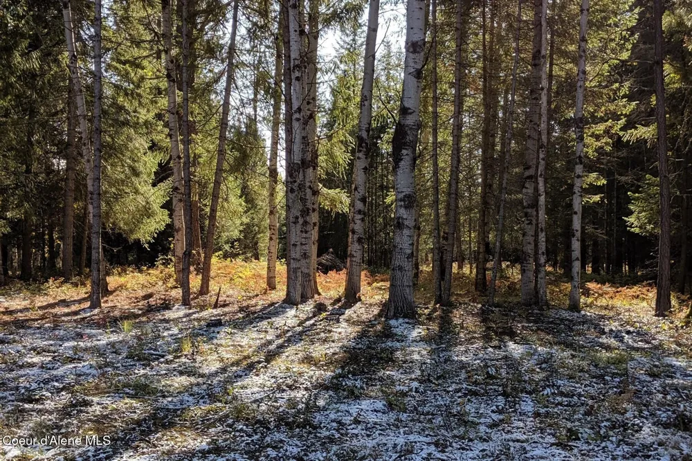 842 Samuels Road Sandpoint, ID 83864