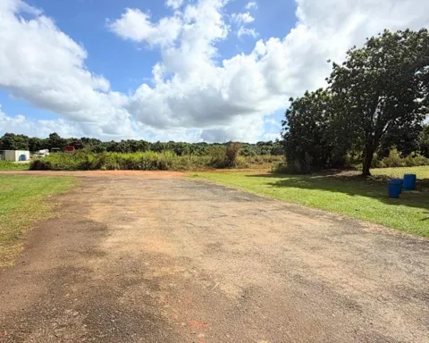 SECTOR MANANTIALES, BO. SABANA HOYOS