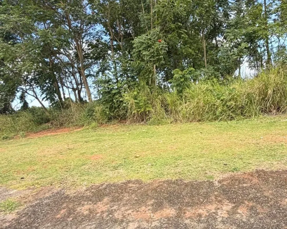 SECTOR MANANTIALES, BO. SABANA HOYOS Arecibo, PR 00612