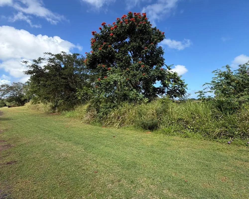 SECTOR MANANTIALES, BO. SABANA HOYOS Arecibo, PR 00612