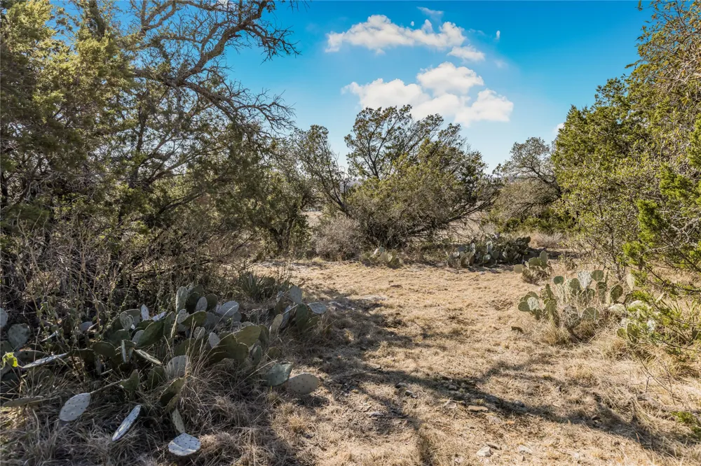48 Inksview Lane Kingsland, TX 78639