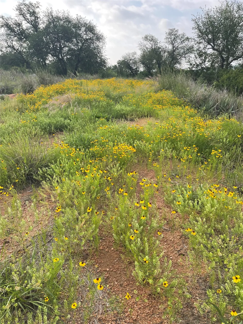 48 Inksview Lane Kingsland, TX 78639