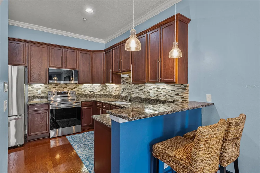 6411 MAYRA SHORES LANE Apollo Beach, FL 33572